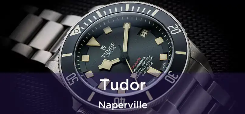 Tudor Naperville